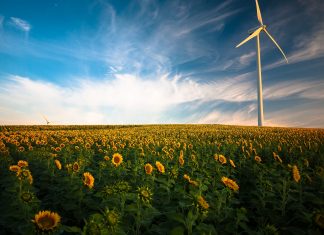 Elektrifisert bare av fornybar energi? Burgenland i Østerrike viser hvordan det er gjort!